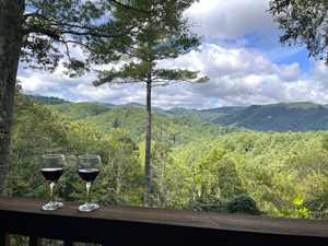vacation rental condos