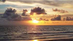 vacation rental condos