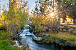 vacation rental condos